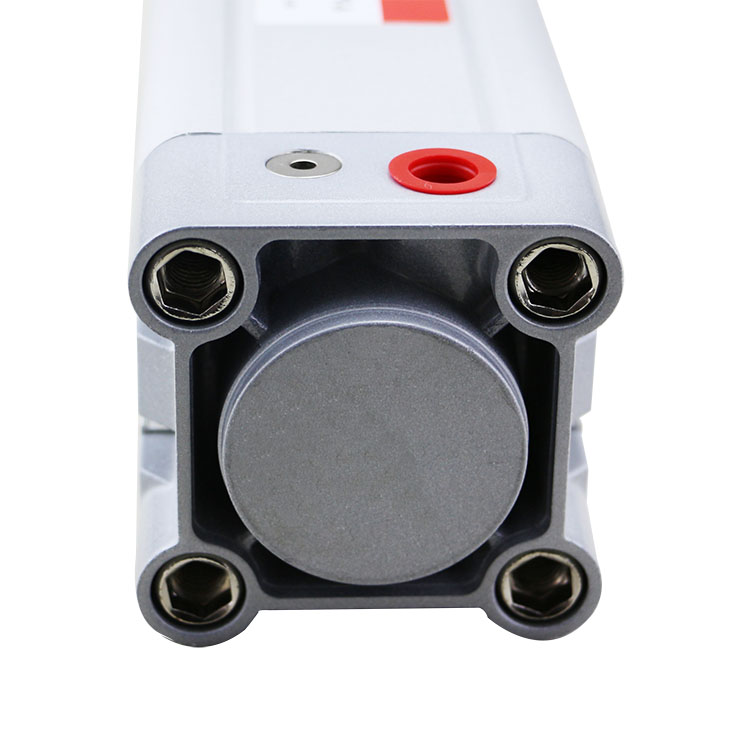 1573006505974023.jpg DNC尾巴.jpg